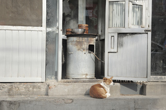 China, Peking